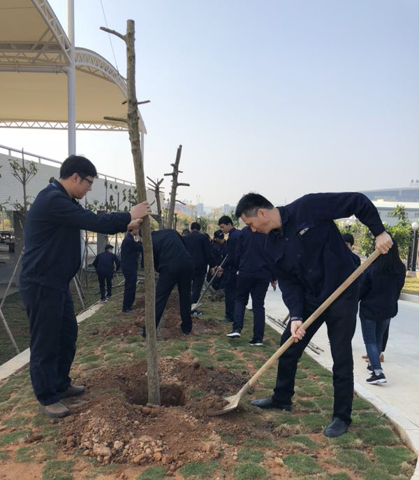 植下一棵樹(shù)  收獲萬(wàn)點(diǎn)綠